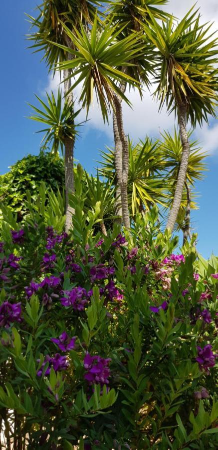 Villa Quinta Da Violeta Loule Luaran gambar
